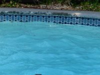 Aug16 (184)