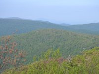 May2016 (259)