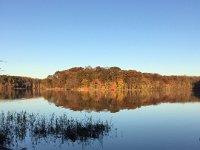 burke lake fall (6)