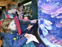 nat history (3)