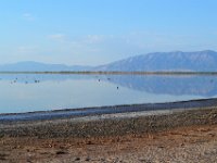 Salt Lake (5)