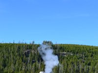 yellowstone (18)