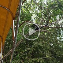 VID_20250310_151812873