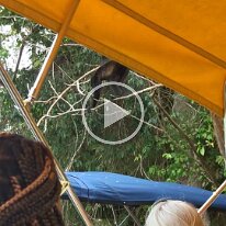 VID_20250310_152119230