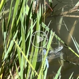 fall break casita (3)