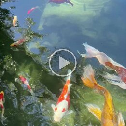 fall break casita (4)