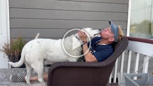 Griffin Dog (1)