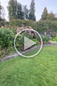 Tacoma Flower Gardens (2)