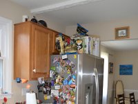 kitchen dw fridge
