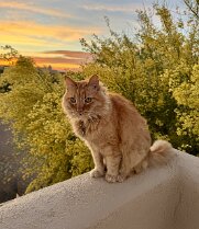 early april sunset (1)
