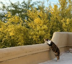 early april sunset (1)