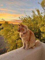 early april sunset (2)