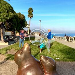 ScreenRecording_06-02-2026 20-53-19_1