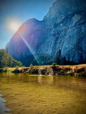 Yosemite 2026 motorcycle (12)