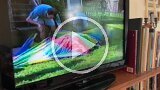 Hayes Home Movies (13)