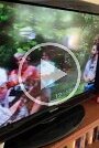 Hayes Home Movies (4)
