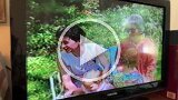 Hayes Home Movies (7)