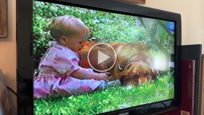 Hayes Home Movies (8)